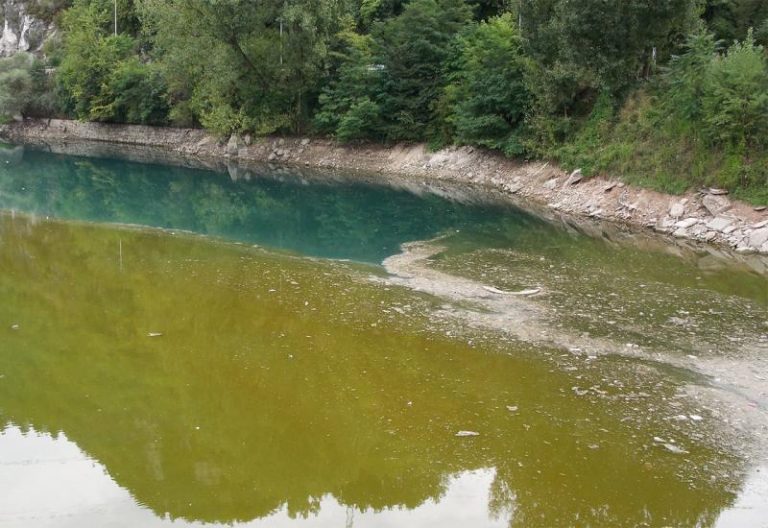 konjic: privrednik jasmin badžak ogorčen uskraćuje podršku lokalnoj zajednici