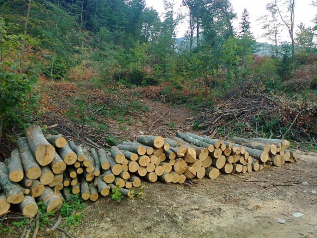 Stanovnici Prozor-Rame ne daju šume