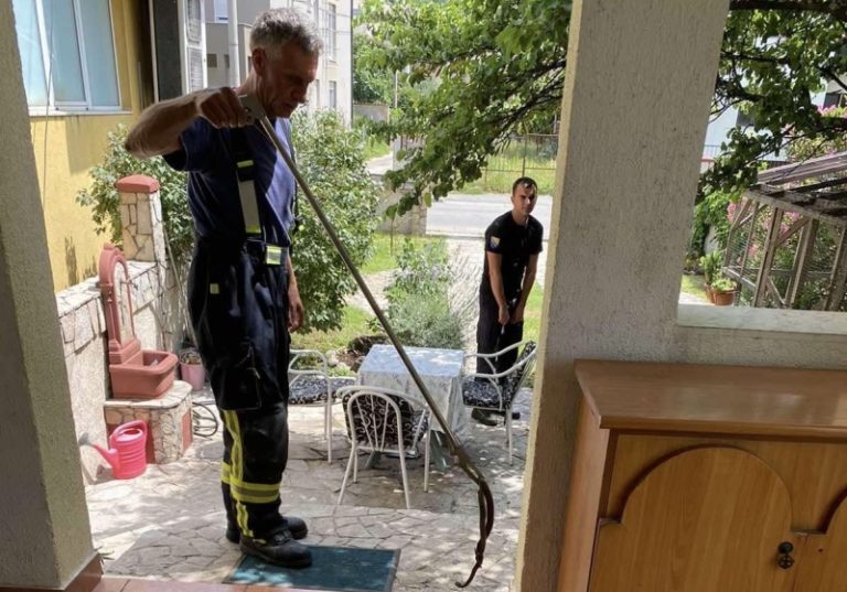 Mostar: Vatrogasci uklonili zmiju iz porodične kuće