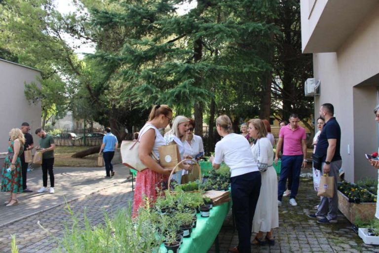 Održan “Zeleni dan” na Agromediteranskom fakultetu