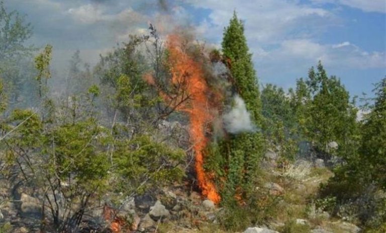 Osam požara na području Konjica, Mostara i Čapljine u protekla 24 sata
