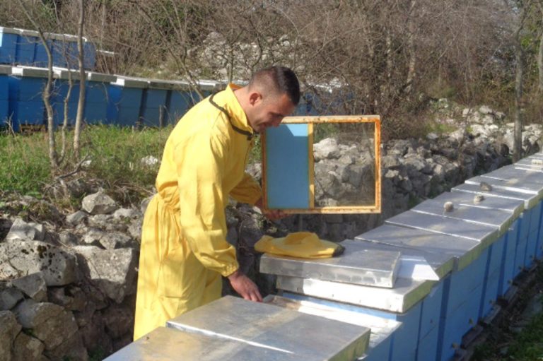 Hercegovina: Ako padne kiša, prinos meda bit će bolji nego 2010. godine
