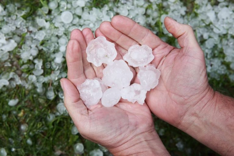 Dabrica: Nevrijeme i grad uništili zasade povrća (video)