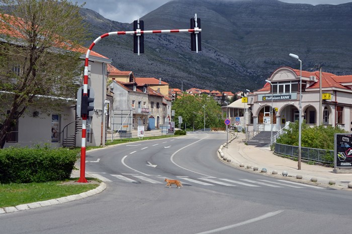 Trebinje: saobraćajne gužve će biti riješene izgradnjom dva kružna toka