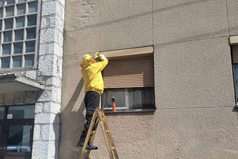 Trebinje: Najezda stršljenova i osa u haustorima zgrada