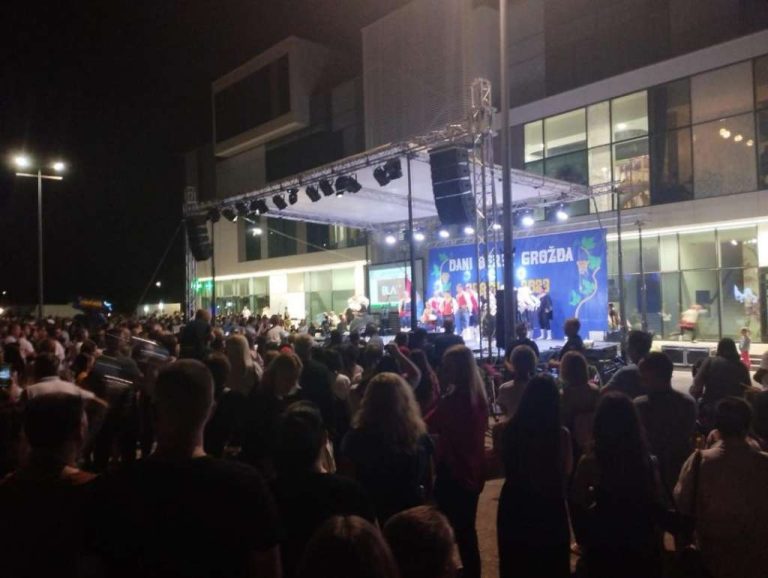 Čitluk: Veliki broj posjetitelja na Danima berbe grožđa