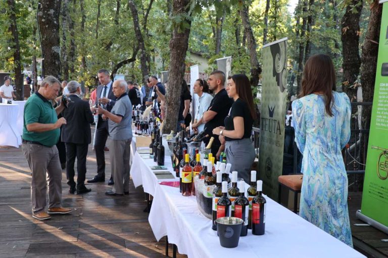BLAŽ Enology u Međugorju: Platforma za promociju Hercegovine kao vinske regije