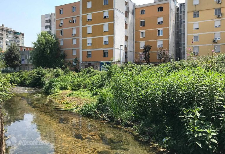 Sutra akcija čišćenja rijeke Radobolje i sadnja maslina