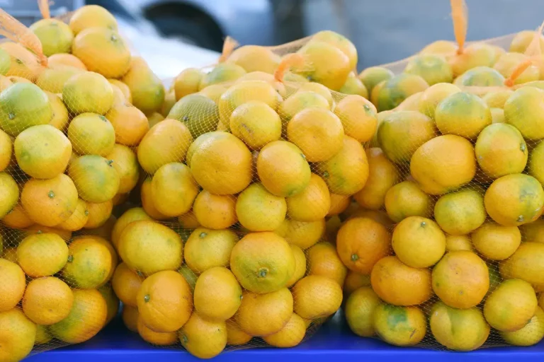 Zabranjeni pesticid u mandarinama: Vraćena pošiljka iz Hrvatske