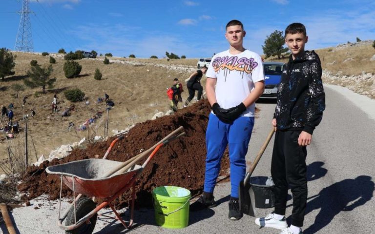 Mostarski učenici posadili hiljadu sadnica crnog bora na Fortici