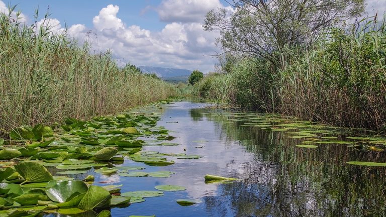 Hutovom blatu prijete presušivanje, zaraštavanje i požari