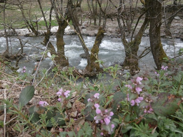 Uskoro počinje istraživanje biodiverziteta gornjeg toka Neretvice