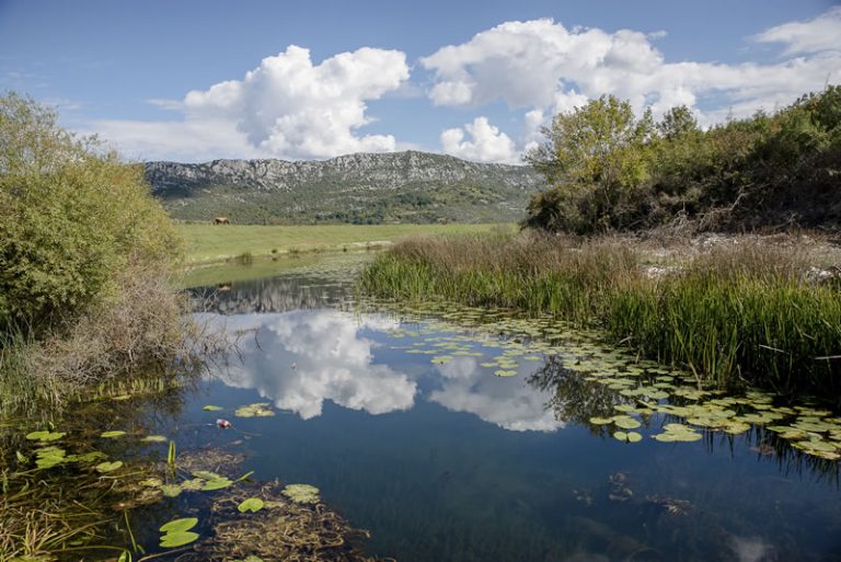 Park prirode Hutovo blato