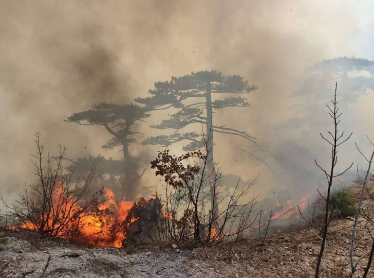 Gori zapadno od Mostara: Gašenje otežavaju nepristupačan teren, vjetar i visoke temperature