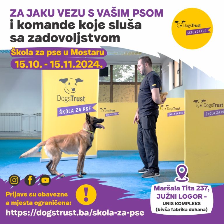 Dogs Trust: Besplatna obuka pasa u Mostaru