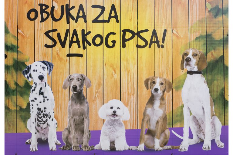 Dogs Trust organizira media priliku tijekom tekućeg gostovanja škole za pse