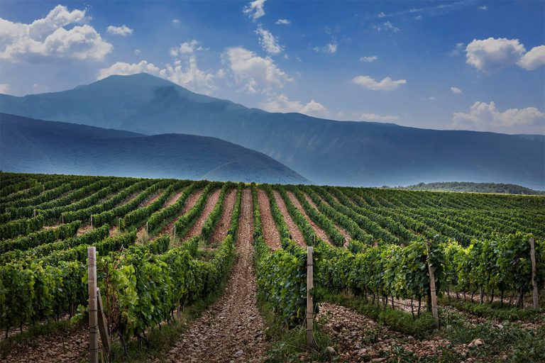 Za poticanje održivog razvoja poljoprivrede Grad Mostar osigurao 93.000 KM