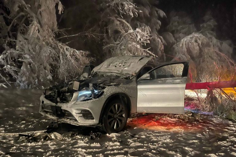 Makljen: Ogromno stablo palo na automobil u pokretu
