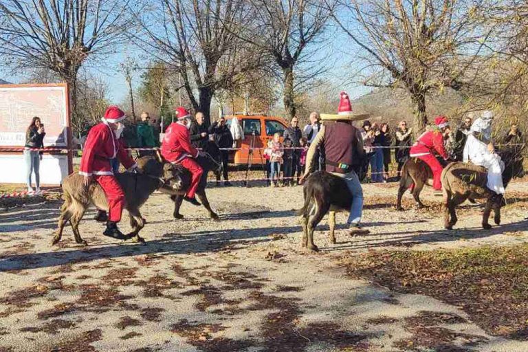 Čapljina: Tradicionalna utrka magaraca
