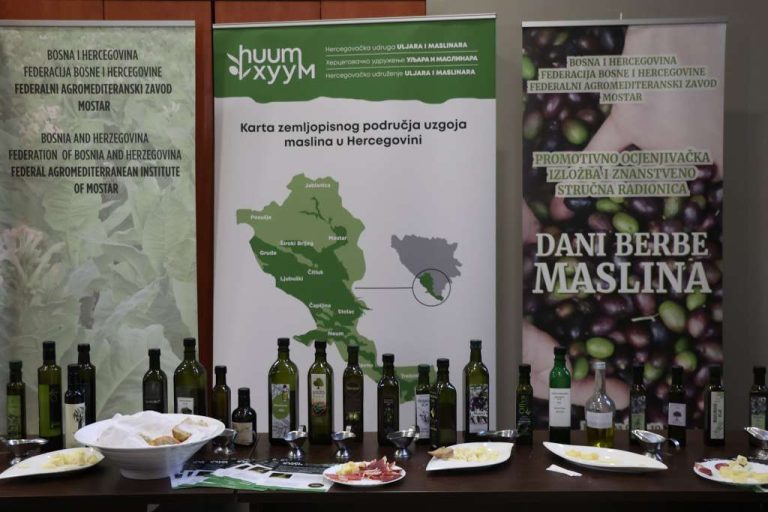 Zlatne kapi masline u Hercegovini, cilj je zaštiti proizvode na razini Europske unije
