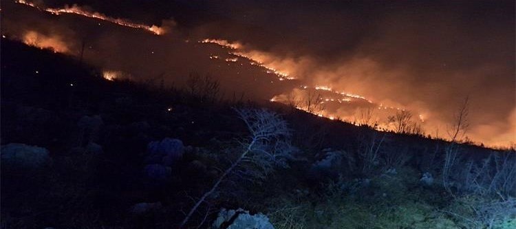 Nevesinje: Veliki požar ugrozio dalekovod