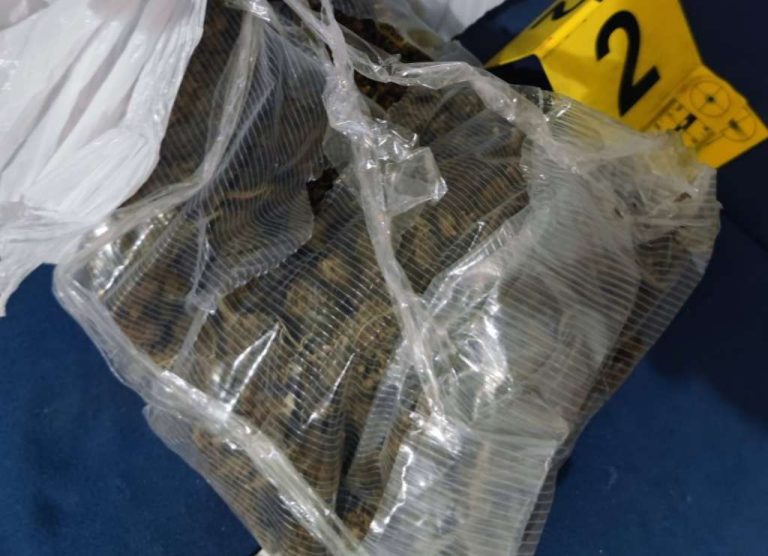Konjic: Policija pronašla marihuamu, jedna osoba u bijegu