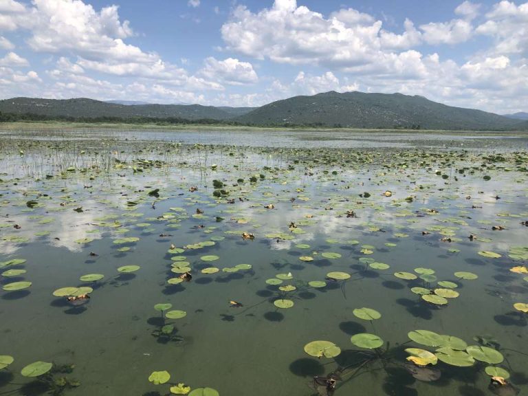 Predstavljanje projekta “SMART-Water” u Hutovom blatu