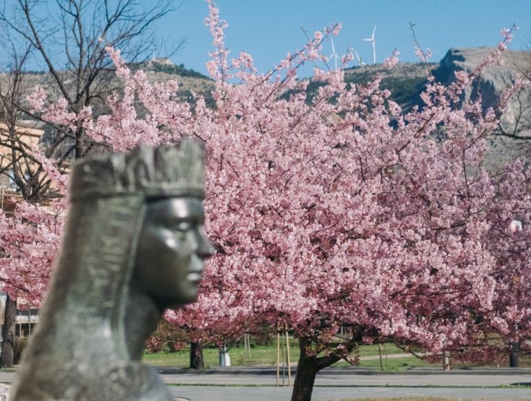 Mostar: U nedjelju Festival japanske trešnje