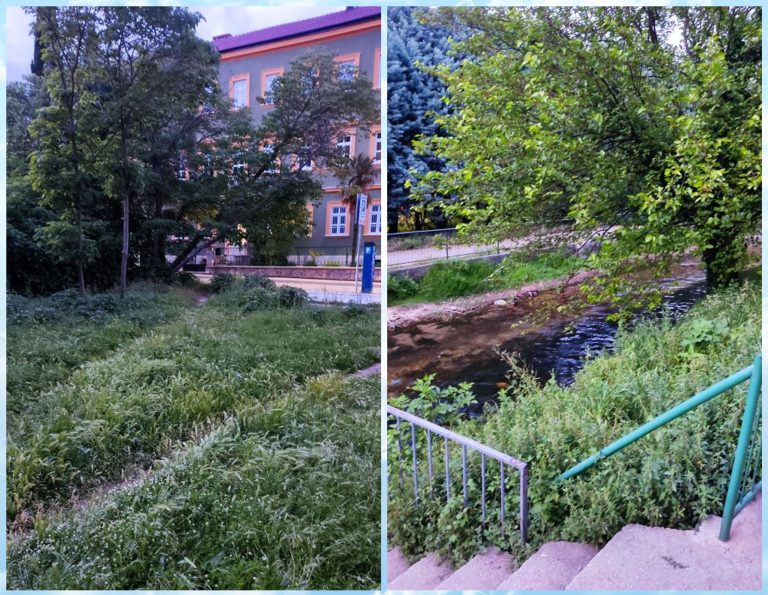 Mostarski fenomeni: Naselje “DUM” sedmicama neuredno i zapušteno