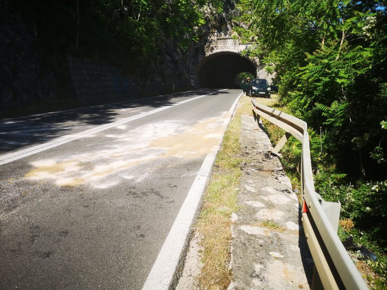 Završen uviđaj na mjestu nesreće: Vozač Audija lišen slobode