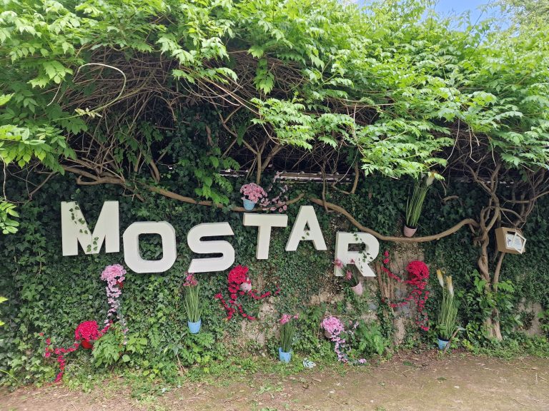 Mostar: Festival cvijeća “Svilene latice”