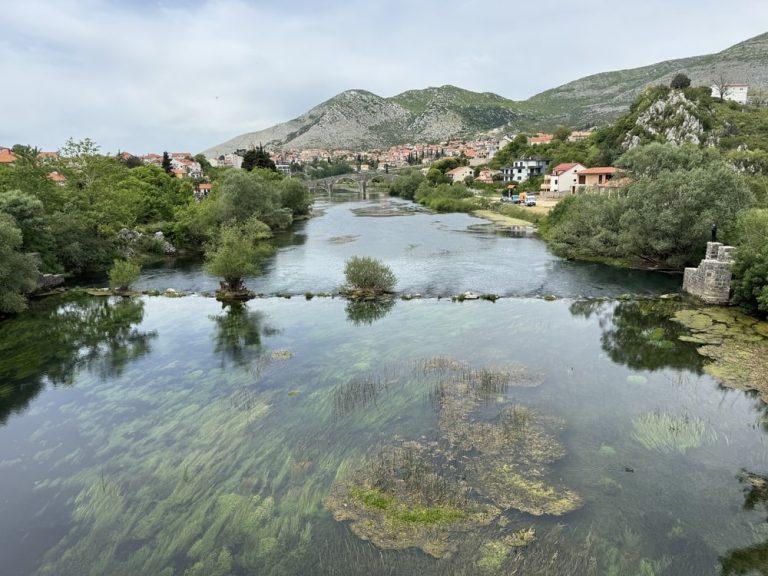 Trebinje: Ekološki projekat u slivu Trebišnjice radi očuvanja endemskih vrsta riba