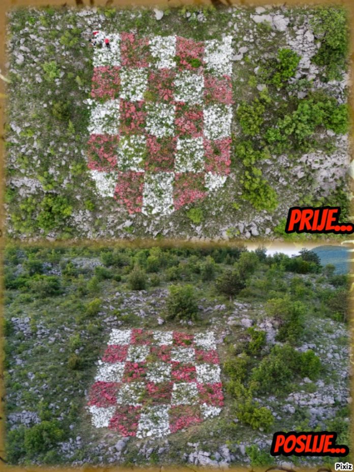 sahovnica