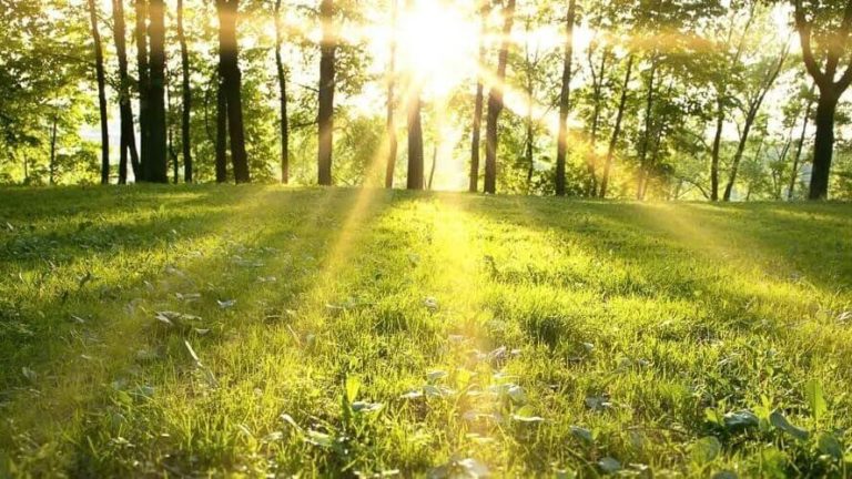 Vitamini i zdravlje: Moć vitamina D