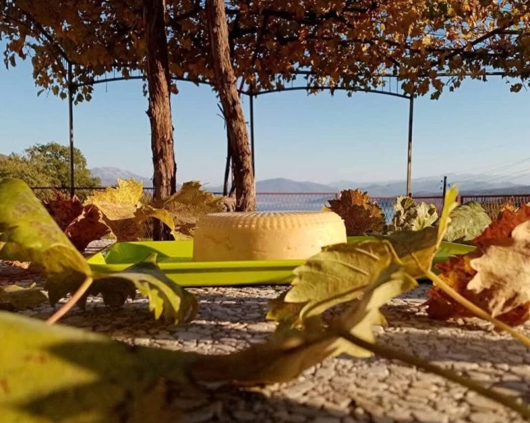 Agroturizam: Porodica iz Bileće čuva tradiciju i mami turiste na hercegovačke specijalitete
