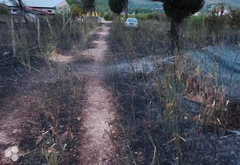 Rodoč: U požaru izgorjelo 400 stabala trešnje i 100.000 sadnica smilja