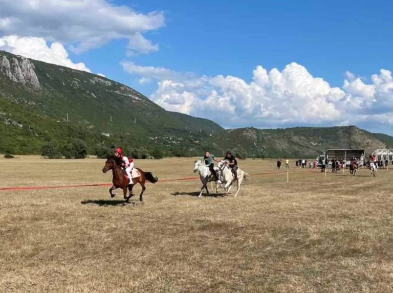 Bileća: Konjičke trke u Dabarskom polju okupile brojne ljubitelje sporta