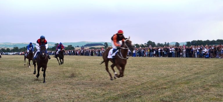 Tradicija: Konjskim trkama na Bratačkom lugu završena 150. Nevesinjska olimpijada