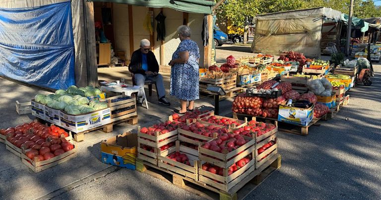 Čapljina: Na Veletržnici i dalje najveća potražnja za povrćem za zimnicu