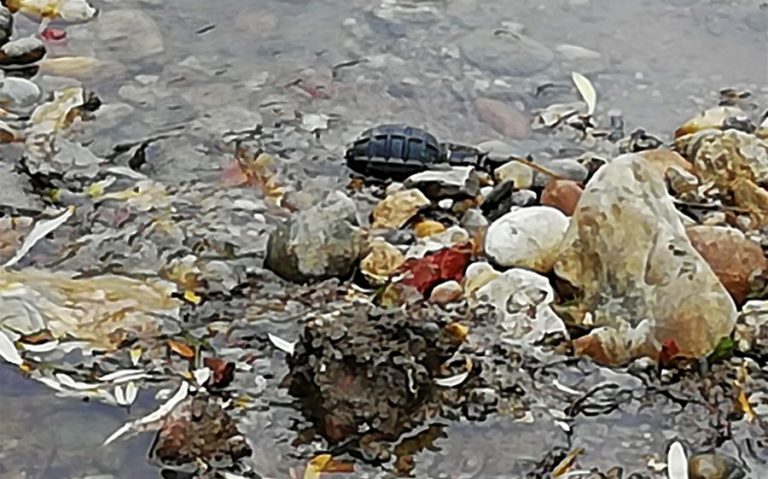 Mostar: Neeksplodirano ubojno sredstvo pronađeno u rijeci Radobolji