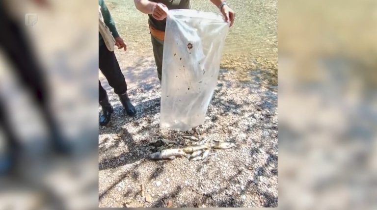 Trovanje hemikalijama? Tužilaštvo istražuje pomor ribe kod HE Ulog