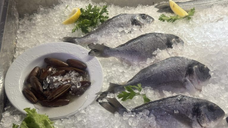 Uprkos zakonskoj zabrani: Drska trgovina i vađenje prstaca u Neumu se nastavlja