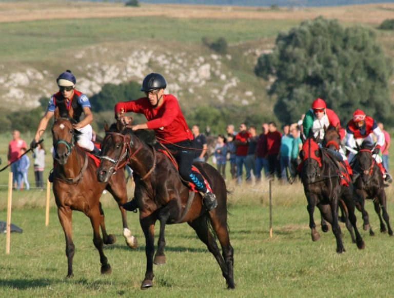 Nevesinjska olimpijada na UNESCO listi nematerijalne kulturne baštine ?