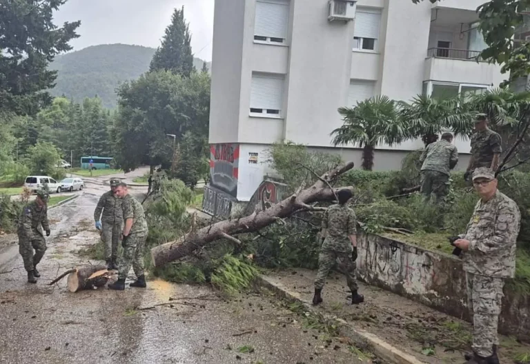 Mostar: Vojska će od ponedjeljka uklanjati stabla oko SKB-a