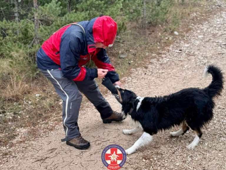 Obuka pripadnika GSS-a: Relicencirani potražni timovi iz Čapljine i Čitluka