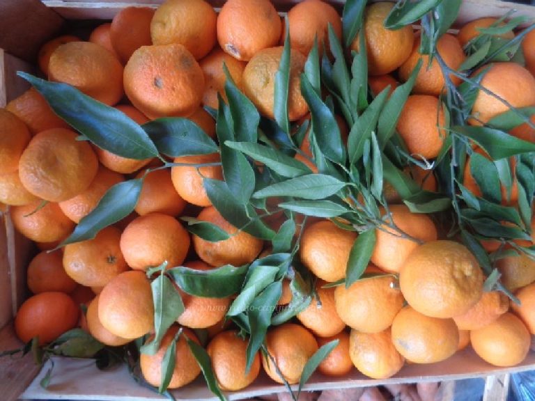Čapljina: Na Veletržnicu u Tasovčićima stigle prve klementine