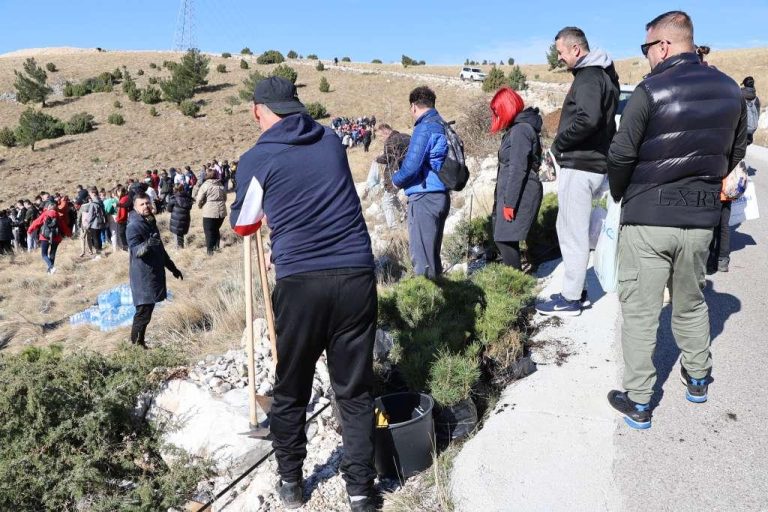 Boranka: Nastavak akcije pošumljavanja u Konjicu i Jablanici