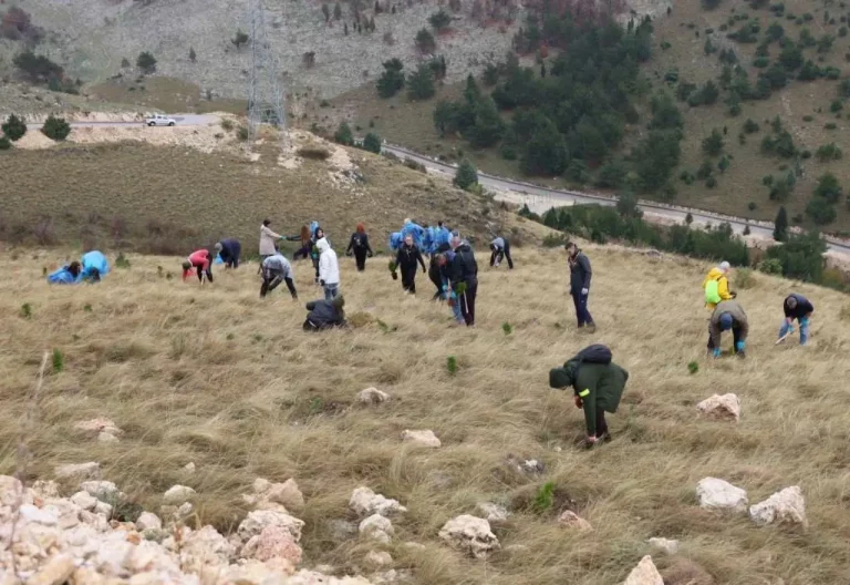 Akcija pošumljavanja: Na Fortici zasađeno 2.500 novih stabala