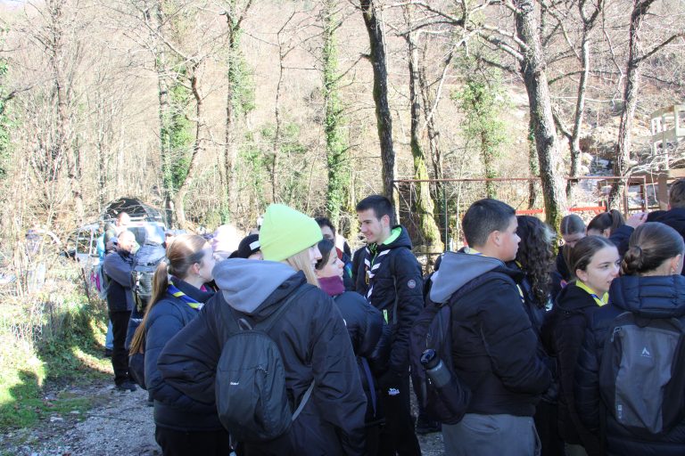 Boranka u BiH: Uspješno realizovane akcije pošumljavanja u Konjicu i Jablanici