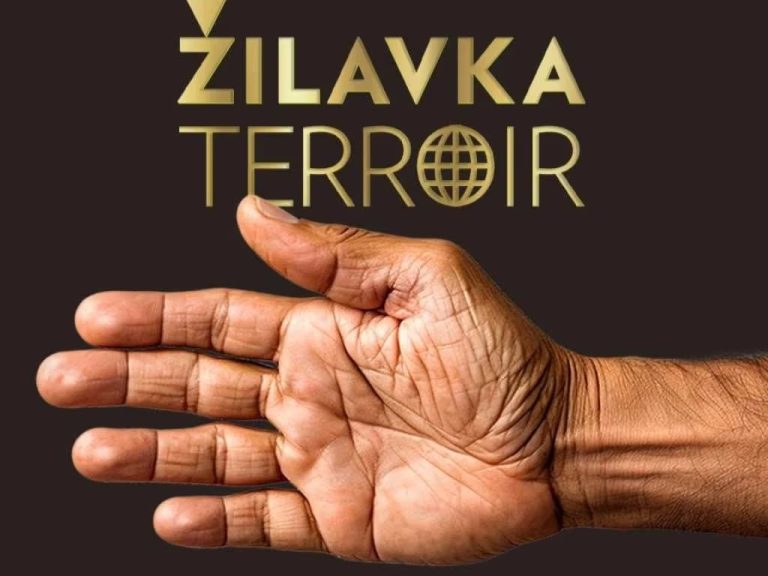 “Žilavka Terroir”: Veliki festival žilavke stiže u Međugorje